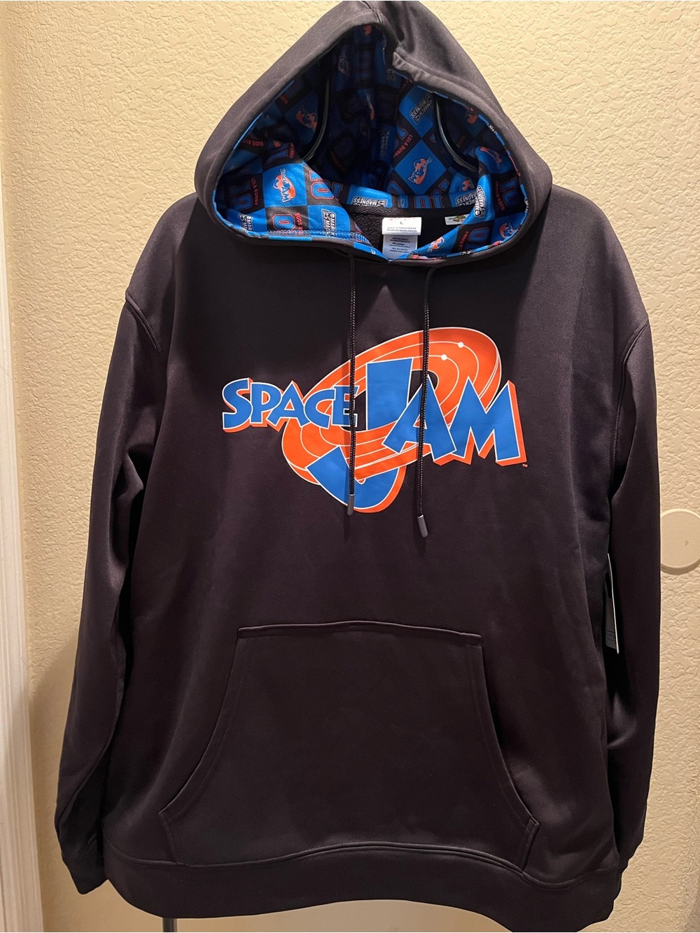 Champion Space Jam Hoodie
